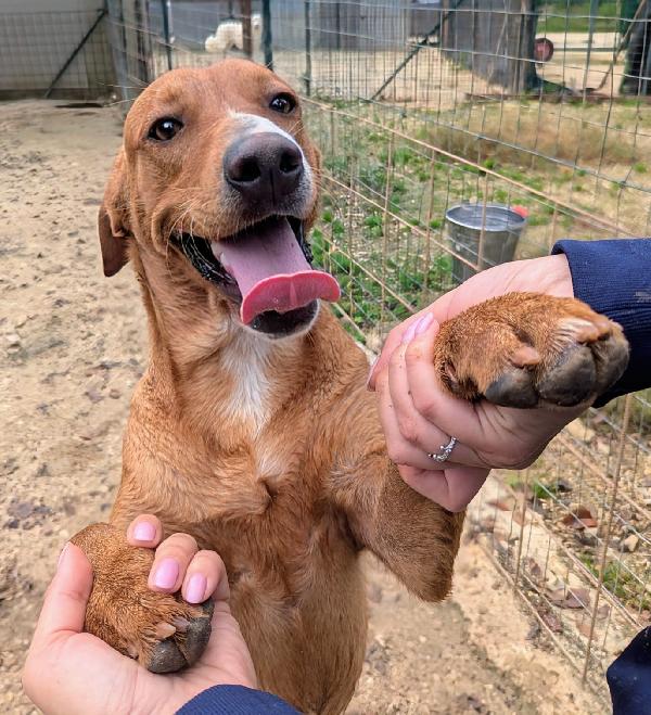 LO SPLENDIDO CORFU' Foto 5